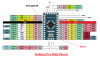 Arduino Pro Mini ATMEGA328A 5V
