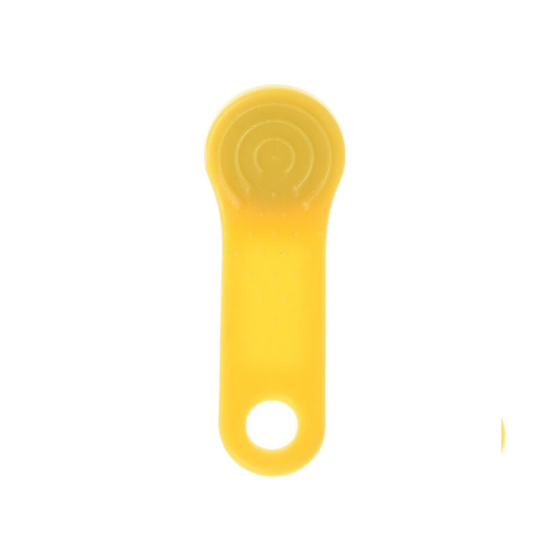 DS1990A iButton Tag