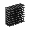 25mmx25mmx10mm Aluminum Heatsink