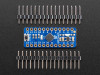 Adafruit ATSAMD09 Breakout