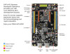 Nxp Frdm-Mcxa153