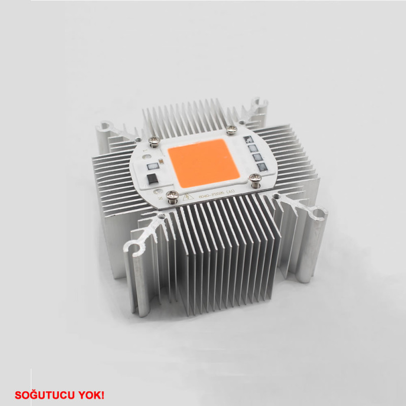 220V 50W Power Led Warm White