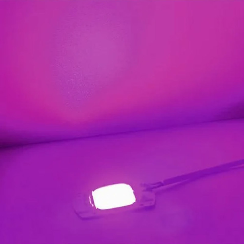 220V 50W Plant Grow Led