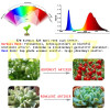 220V 50W Plant Grow Led
