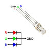 5mm Rgb Led Ortak Anot