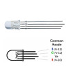 5mm Rgb Led Ortak Anot