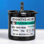 60ktyz Motor 5Rpm