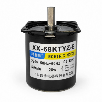 68KTYZ AC Motor 5rpm