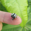 Micro Step Motor 6x7.5mm
