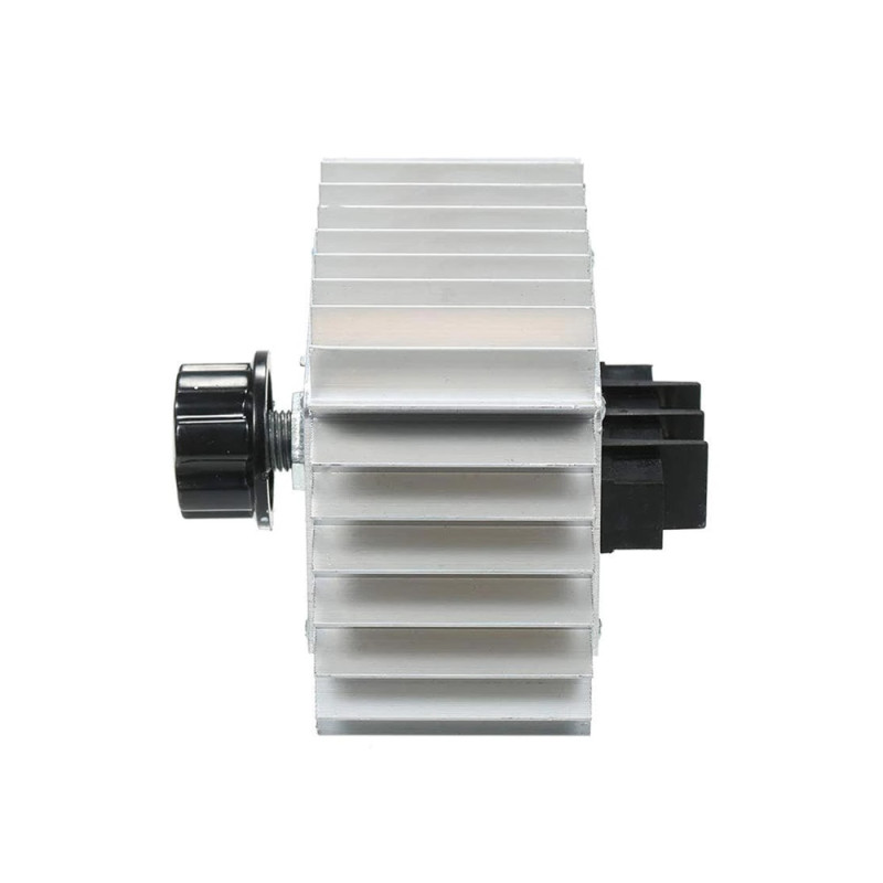 Dimmer AC 220V 5000W