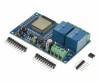 ESP32 Relay Board 2 Channel ESP32-2R-D5