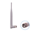 Tp-link 2.4Ghz 6db Antenna