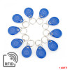 125 Khz RFID Keyfob