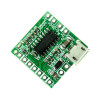 PAM8403 2x3w Amplifier Micro Usb