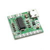 PAM8403 2x3w Amplifier Micro Usb