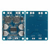 TPA3118 60W Audio Amplifier Module