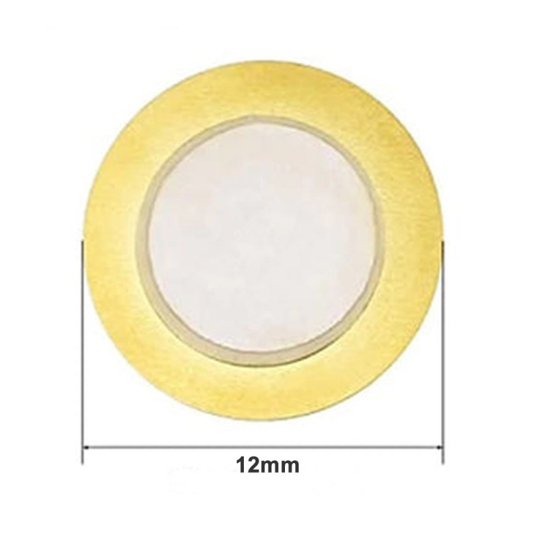 12mm Piezo Disk
