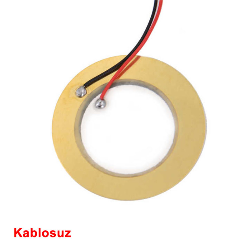 12mm Piezo Disk