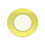 20mm Piezo Disk