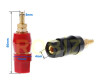 Banana Socket Terminal Pair Sprt
