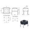 6x6x4.3mm Tact Button