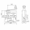 Roller Micro Switch 5A Kw123