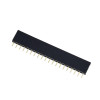 1x20 Pin Female Header