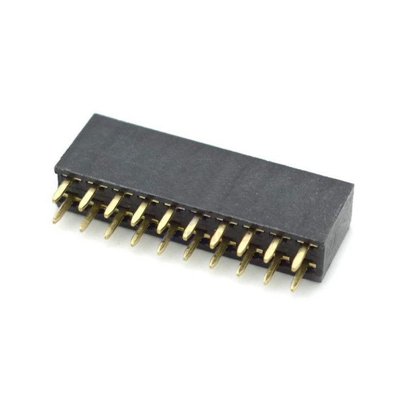 2x10 Pin Female Header