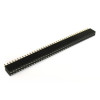 2x40 Pin Female Header