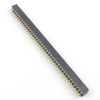 2x40 Pin Female Header