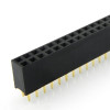 2x40 Pin Female Header