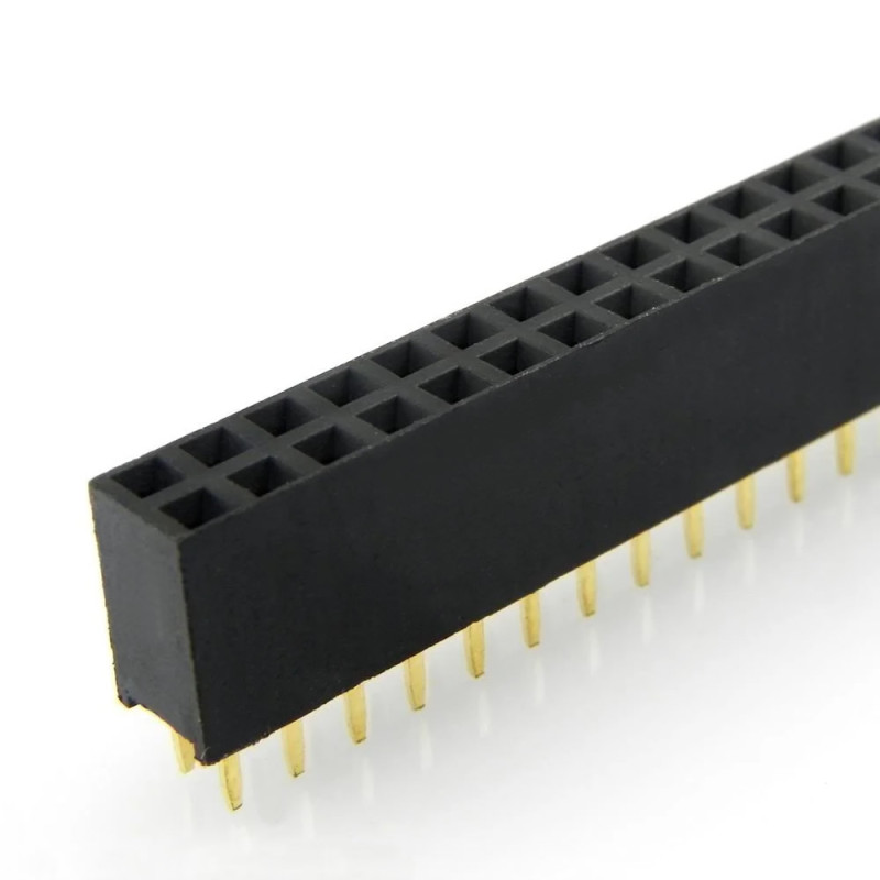 2x40 Pin Female Header