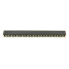 2x40 Pin Female Header