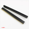 2x40 Pin Female Header