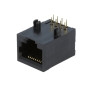RJ45 8P8C Plastic