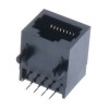 RJ45 8P8C Plastic