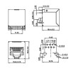 8P8C Plastic RJ45 Vertical
