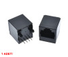 8P8C Plastic RJ45 Vertical