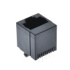 8P8C Plastic RJ45 Vertical