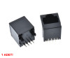 8P8C Plastic RJ45 Vertical