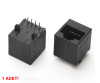 8P8C Plastic RJ45 Vertical