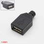 Usb Type A Female Socket with Housing