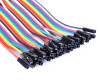 30cm 40 Pin Female Female Dupont Cable