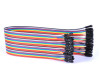 30cm 40 Pin Female Female Dupont Cable