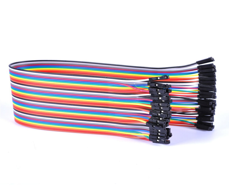 30cm 40 Pin Female Female Dupont Cable