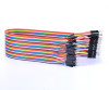 30cm 40 Pin Erkek Erkek Dupont Kablo