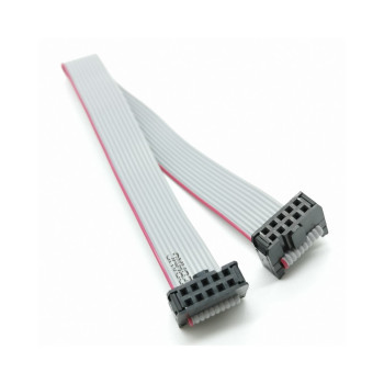 20cm 10 Pin IDC Flat Kablo
