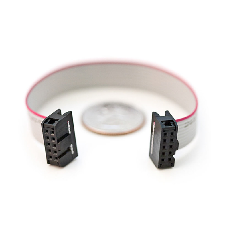 20cm 10 Pin IDC Flat Cable