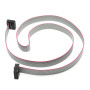 70cm 10 Pin IDC Flat Cable