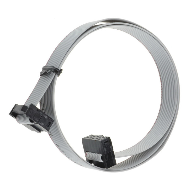 70cm 10 Pin IDC Flat Cable